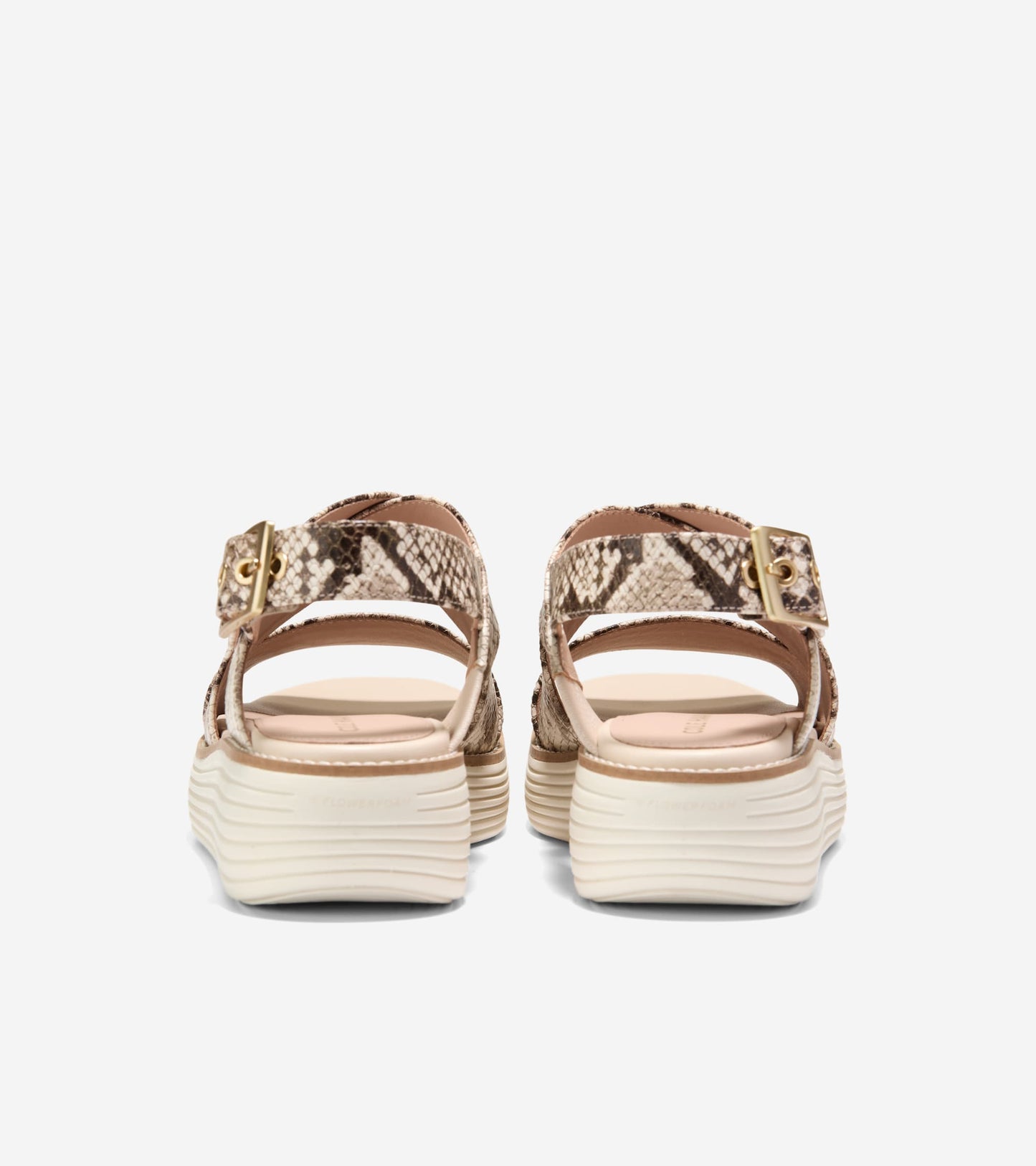 W29418:SANDOLLAR SNAKE PRINT/IVORY